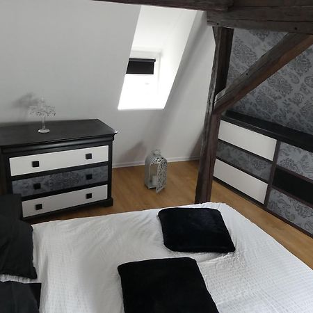 Appart Chaleureux Apartment Colmar Luaran gambar