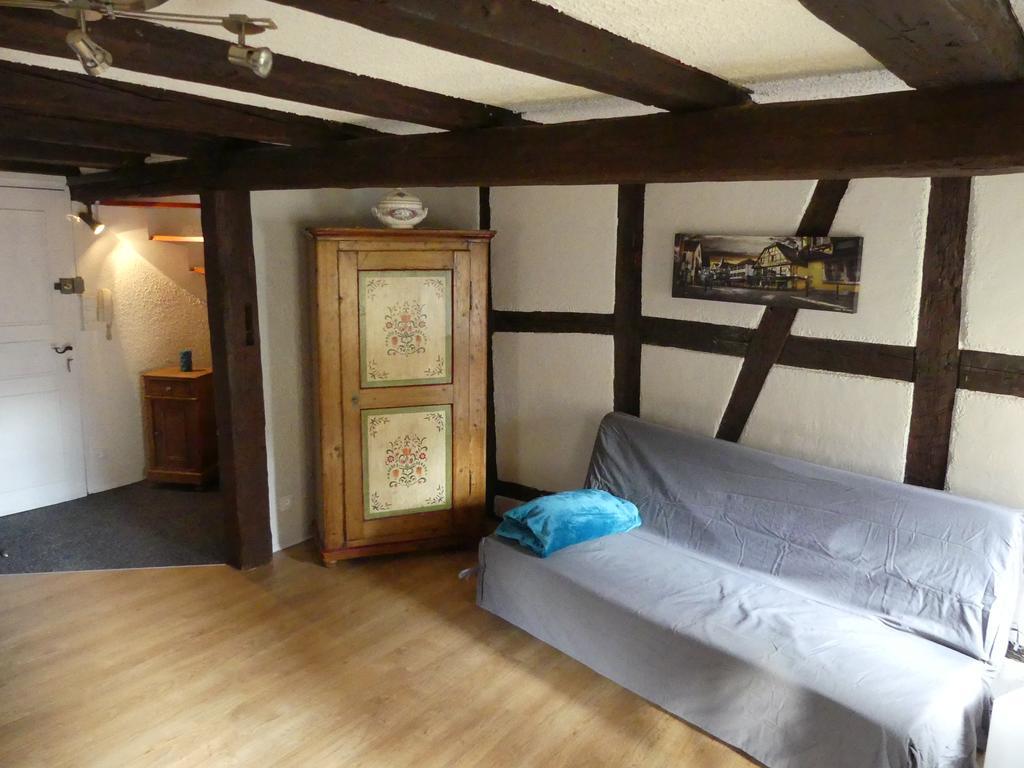 Appart Chaleureux Apartment Colmar Luaran gambar