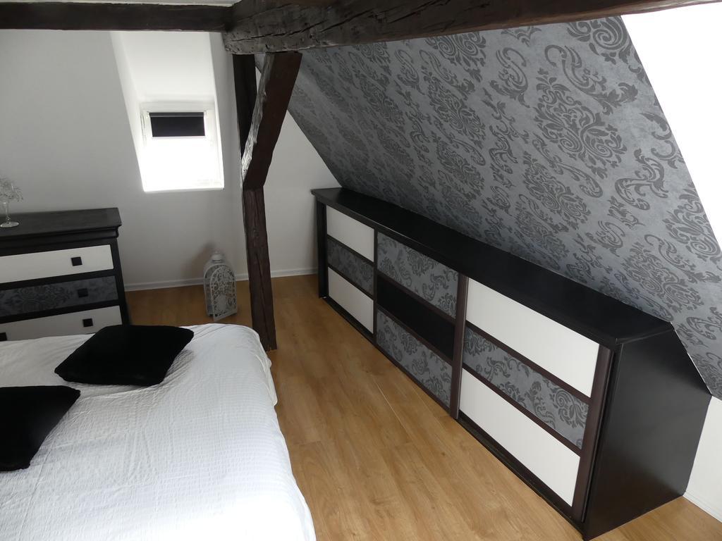 Appart Chaleureux Apartment Colmar Luaran gambar