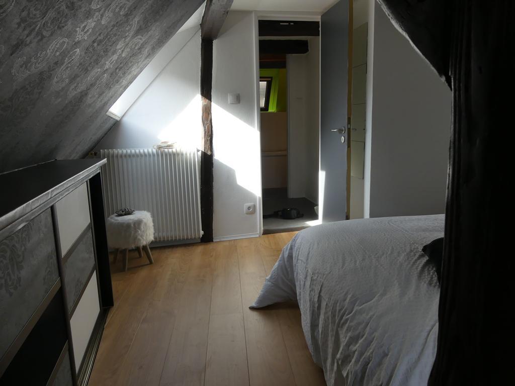 Appart Chaleureux Apartment Colmar Luaran gambar