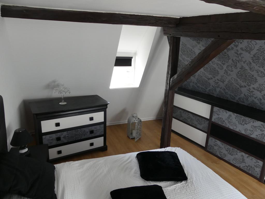 Appart Chaleureux Apartment Colmar Luaran gambar