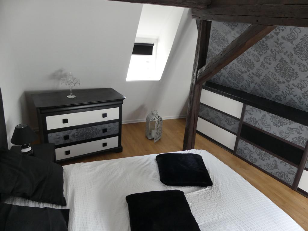 Appart Chaleureux Apartment Colmar Luaran gambar